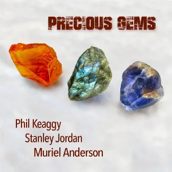 Precious Gems by Muriel Anderson