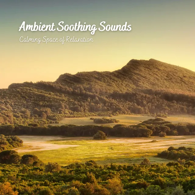 Ambient Soothing Sounds: Calming Space of Relaxation