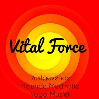 Vital Force - Rustgevende Helende Meditatie Yoga Massage Therapie Muziek voor Chakra Oefeningen Gezondheid en Welzijn met Instrumental Zoete Geluiden by Unknown Artist