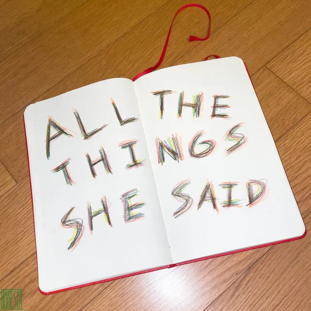 All the Things She Said (Remix)