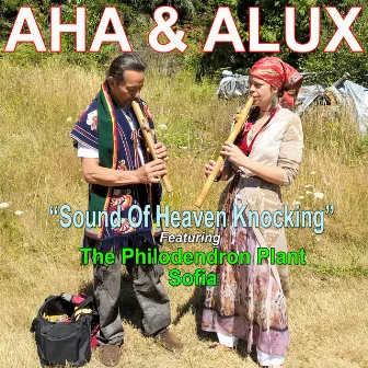 Sound of Heaven Knocking by Alux