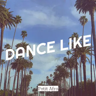 Dance Like by Petit Afro