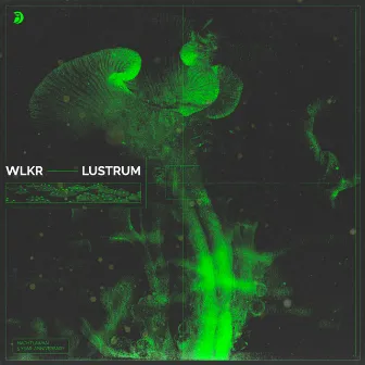 Lustrum by WLKR