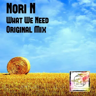 What We Need by Nori N