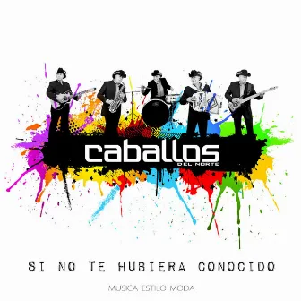 Si No Te Hubiera Conocido by Caballos Del Norte