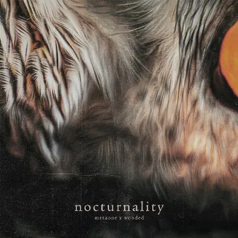 Nocturnality by wooded