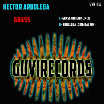 Grass by Hector Arboleda