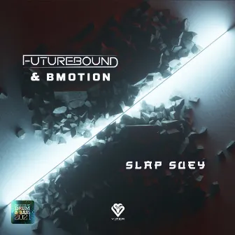 Slap Suey by Futurebound