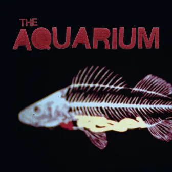 The Aquarium by The Aquarium