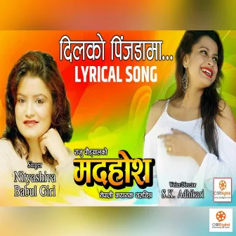 Dilko Pinjada Ma Madahos Movie Song by Nityashiva