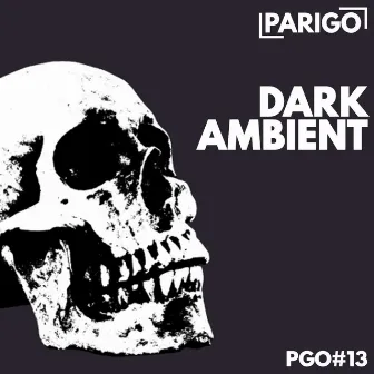 Dark Ambient (Parigo No. 13) by Mister Modo