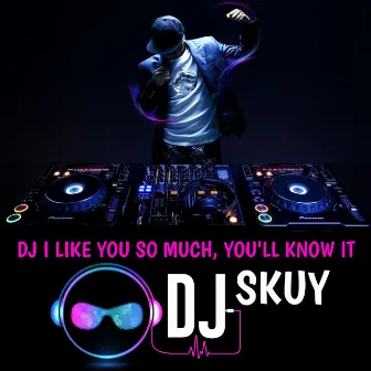 DJ I Like You So Much, You'll Know It by DJ Skuy