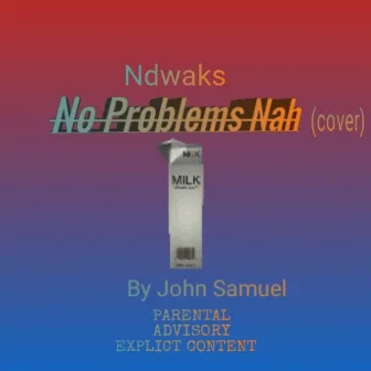 No Problems Nah (Cover) by John Samuel