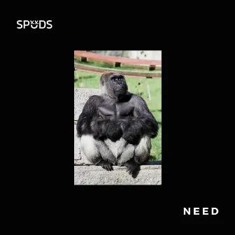 Need by Spuds