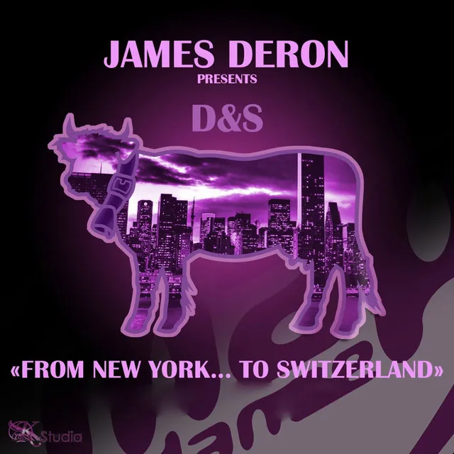 From New York to Switzerland - Dynamic Remix