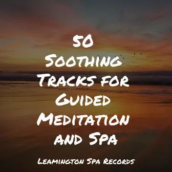 50 Soothing Tracks for Guided Meditation and Spa by Study Power