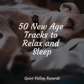 50 New Age Tracks to Relax and Sleep by Exam Study Classical Music