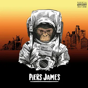 Vibes & Tribulations II by Piers James