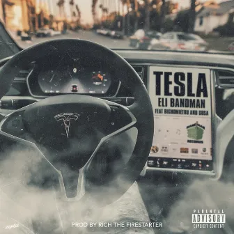 Tesla by Eli Bandman