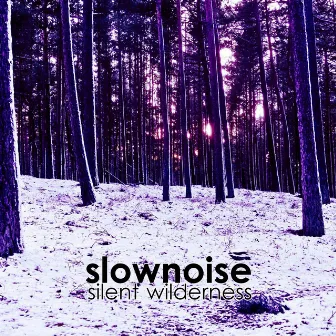 Silent Wilderness by Slownoise