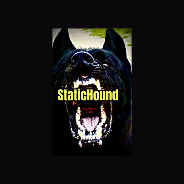 StaticHound