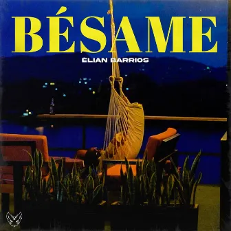 Besame by Unknown Artist