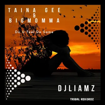 Do U Feel da Same by Taina Gee