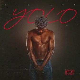 YOLO by Big Lee