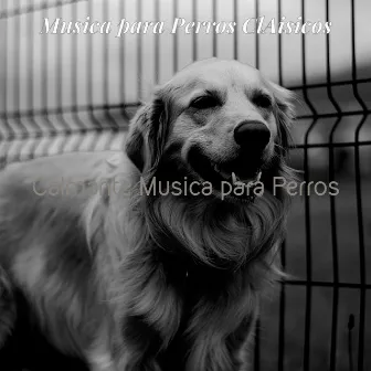 Calmante Musica para Perros by Musica para Perros ClAisicos