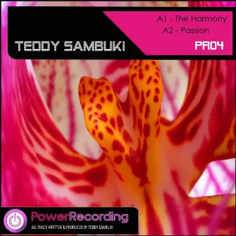 The Harmony by Teddy Sambuki