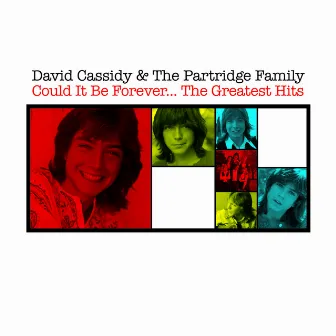 Could It Be Forever - The Greatest Hits by David Cassidy