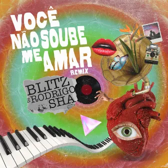 Você Não Soube Me Amar by Rodrigo Sha