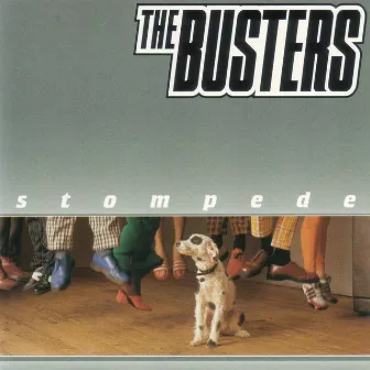 Stompede by The Busters