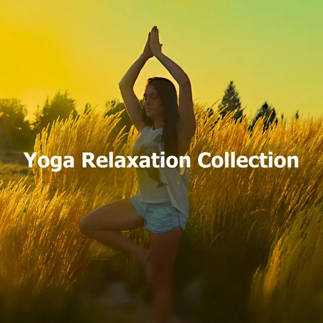 Yoga Relaxation Collection