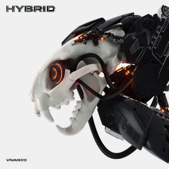 Hybrid by Vivanco