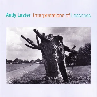 Interpretations Of Lessness by Andy Laster