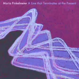 A Line That Terminates at the Present by Maria Finkelmeier