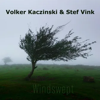 Windswept by Stef Vink