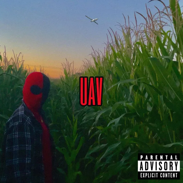 UAV (Solly Disstrack)