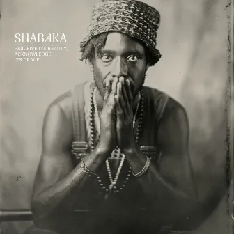 Perceive Its Beauty, Acknowledge Its Grace by Shabaka