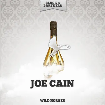 Wild Horses by Joe Cain