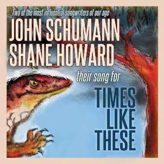 Times Like These by John Schumann