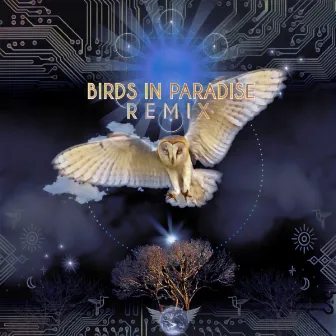 Birds in Paradise (Remix) by Bird Tribe