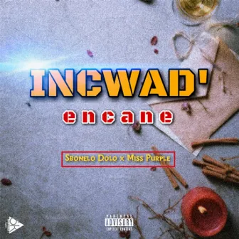 Incwad' encane by Sbonelo Dolo