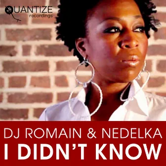 I Didn't Know by Nedelka