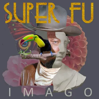 Imago by Super FU