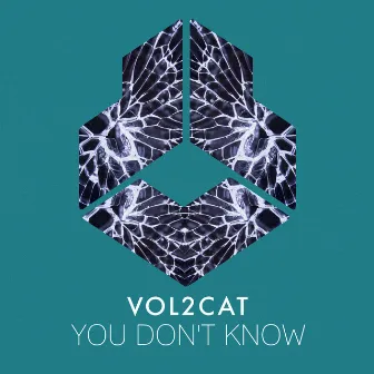 You Don't Know by Vol2Cat