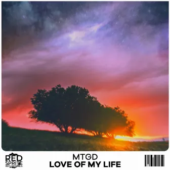 Love Of My Life by MTGD