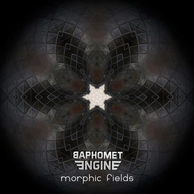 Morphic Fields