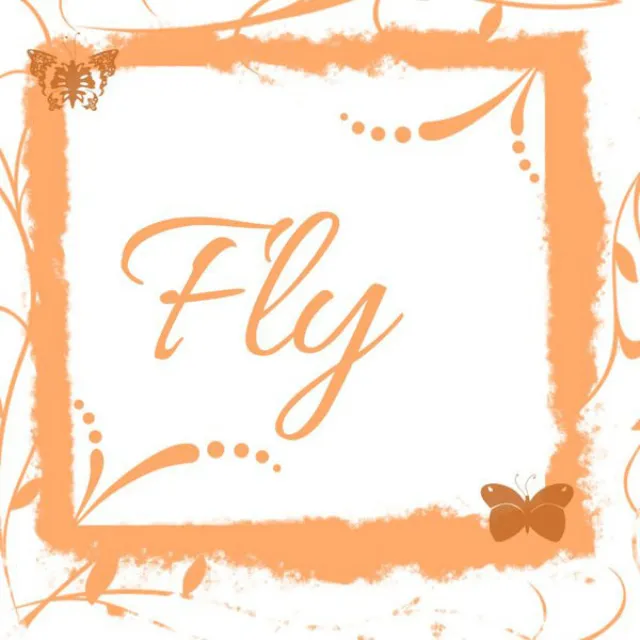 Fly